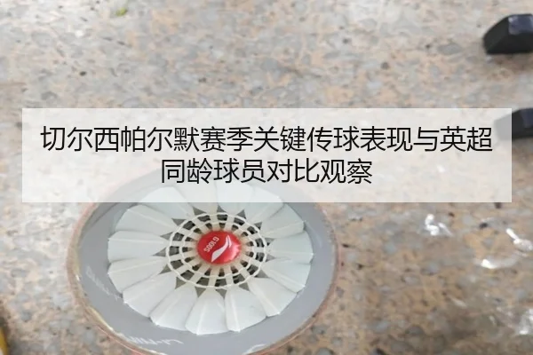 切尔西帕尔默赛季关键传球表现与英超同龄球员对比观察